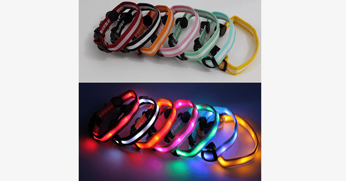 Hjemix | LED Hundehalsbånd – Hold et øye med kjæledyret ditt!