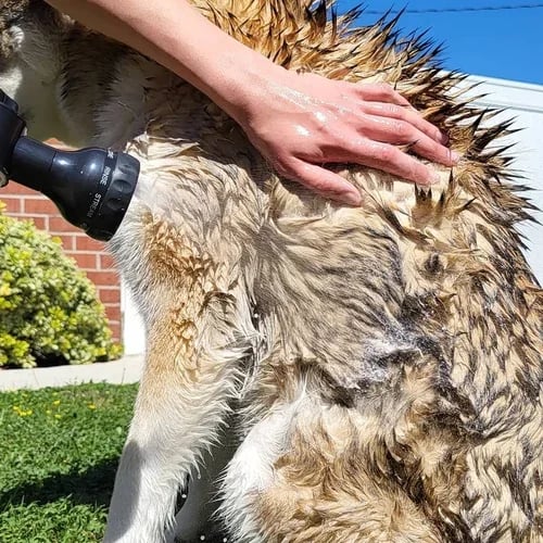 Hjemix | Multi-mode Hundebad Skummende Vannpistol