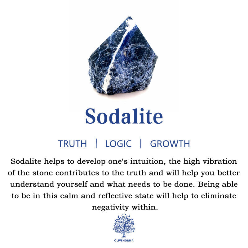 Hjemix | Frendorf 2.5 Tommers Krystall Dinosaur Hjemmedekorasjon Edelsteinsdekor