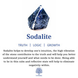 Hjemix | Frendorf 2.5 Tommers Krystall Dinosaur Hjemmedekorasjon Edelsteinsdekor