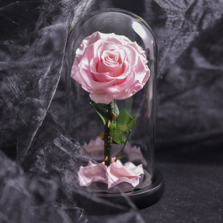 Norvo | Forever Rose, Evig Rose i Glasskuppel, 3 Dagers Leveringstid, Blå