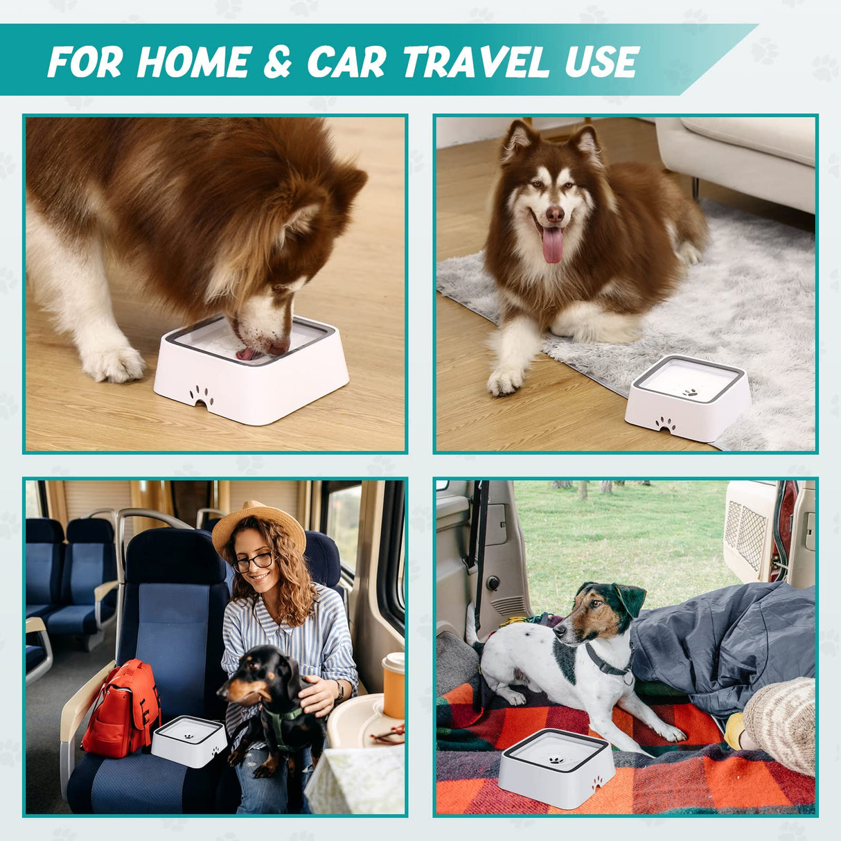 Hjemix | Tørr Skål Hundedrikking