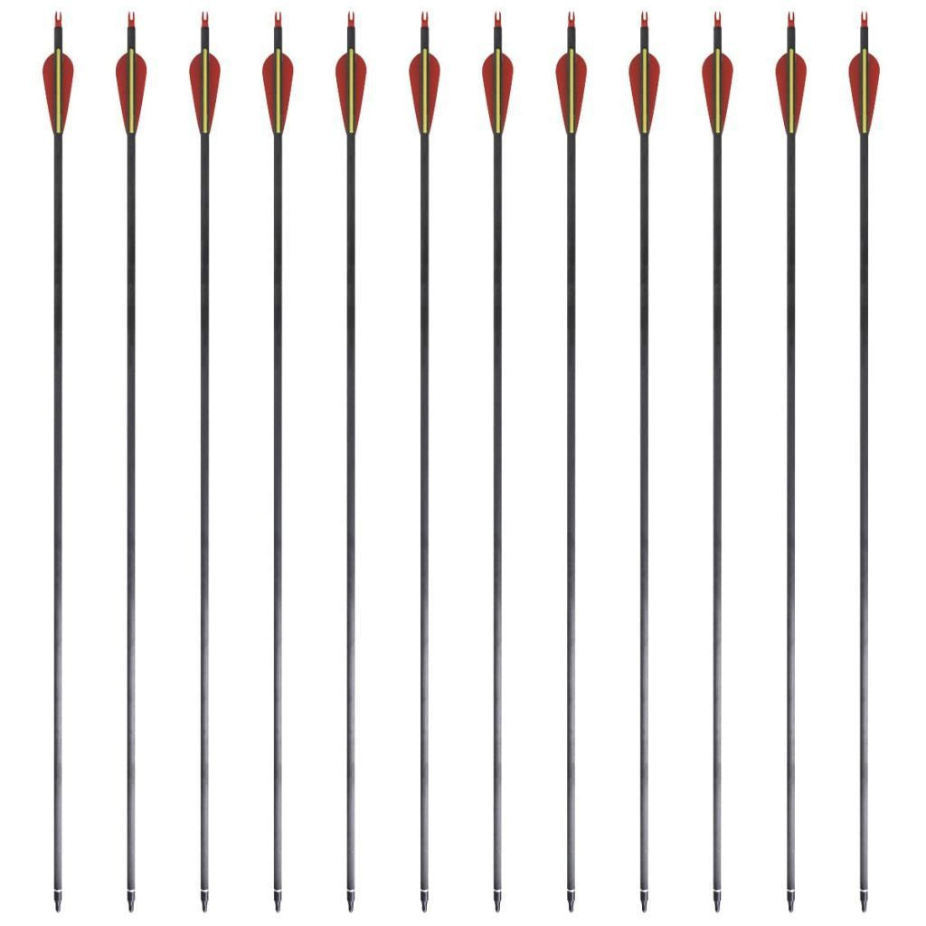 Hjemix | Standard Recurve-Bogenpfeile 30" 0,76 Cm Carbon 12 Stück