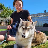 Hjemix | Hundefor dusj sprayer - WashBuddy