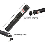 Hjemix | Høyytelses Laserpointer 303