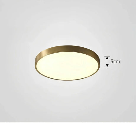 Hjemix | Taklampe ChromaCraft