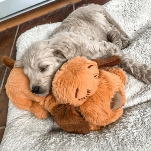 Hjemix | Snuggle Puppy - Angsts- og ensomhetsdempende kosedyr