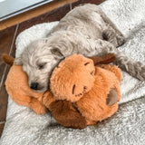 Hjemix | Snuggle Puppy - Angsts- og ensomhetsdempende kosedyr