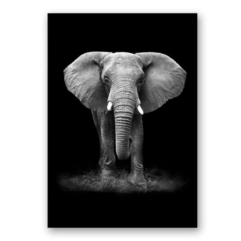 Hjemix | Natur Ville Dyr Afrika Wildlife Svart Hvit - Lerretsveggkunst Maleri