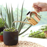 Hjemix | AquaGrace Rustfritt Stål Vannkanne med Fleksibel Hals | Moderne Design | Perfekt Vanning | Ruster ikke