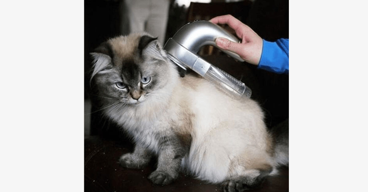Hjemix | Pet Vacuum Groomer