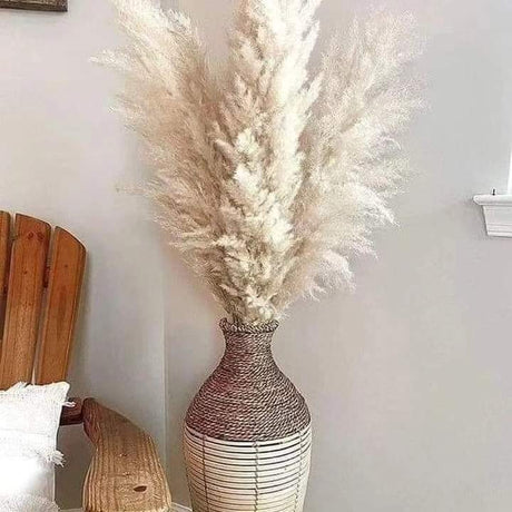 Hjemix | 1.5M Pampas gress