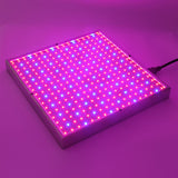 Hjemix | Grow Light Lampe