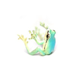 Hjemix | Nyeste-tree Frog Ring Øredobber