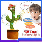 Hjemix | Smart Kaktus Leke