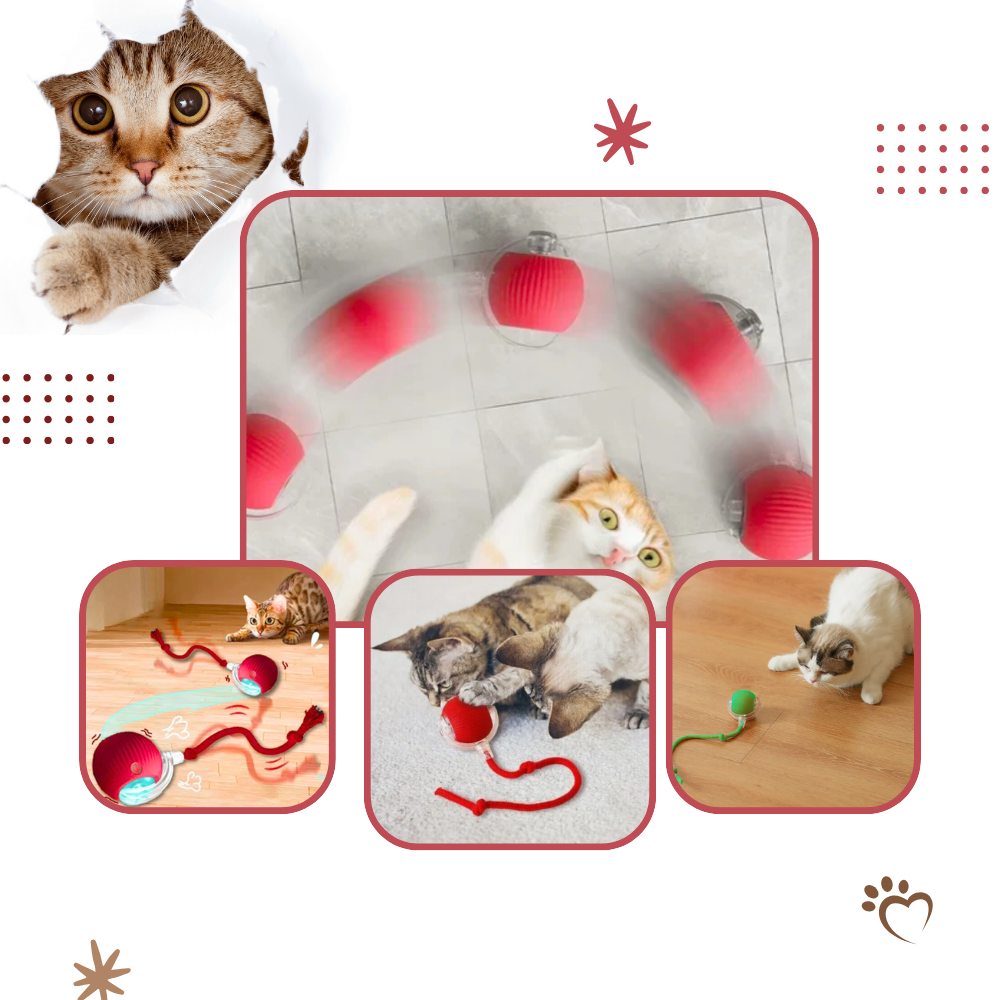 Smart, Interaktiv Katteball-Leke