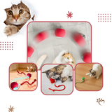 Smart, Interaktiv Katteball-Leke