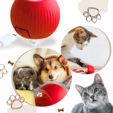 Smart, Interaktiv Katteball-Leke