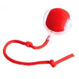 Smart, Interaktiv Katteball-Leke