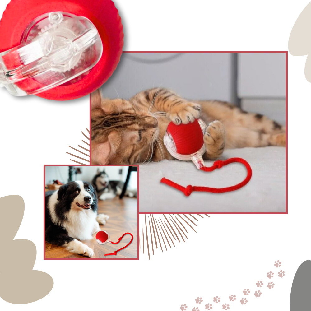 Smart, Interaktiv Katteball-Leke