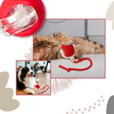 Smart, Interaktiv Katteball-Leke