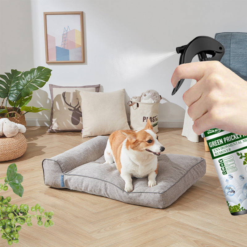 Hjemix | Kraftig Middfjerner Spray