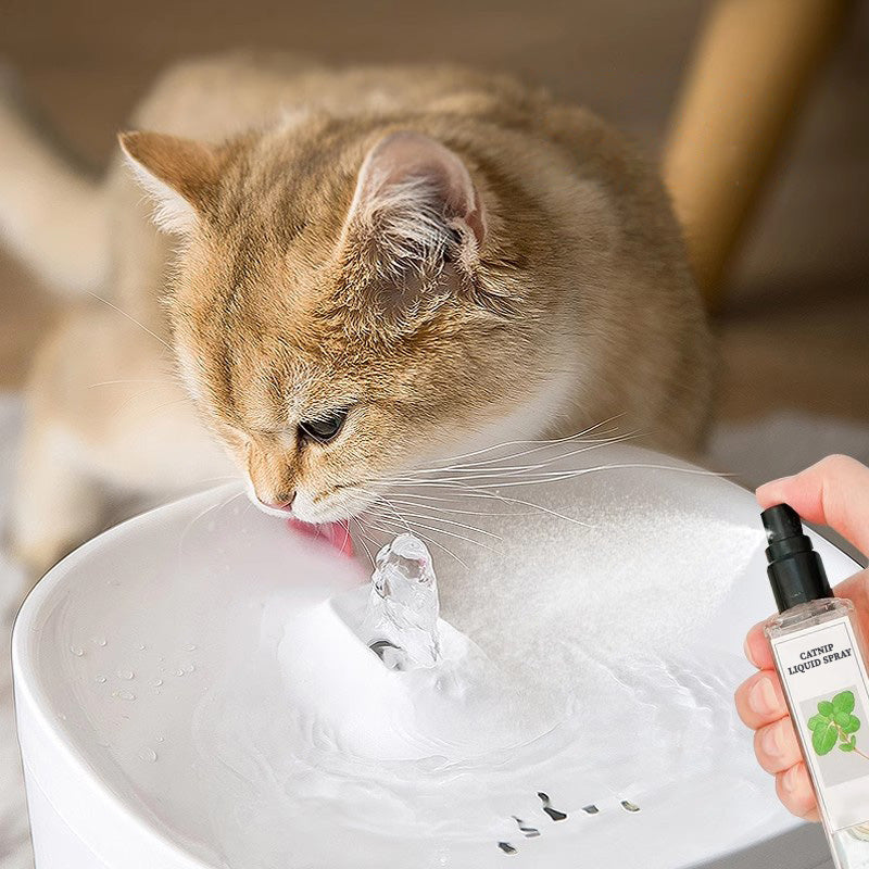 Hjemix | Kattemynte Liquid Spray - Sikker, Ren og Potent