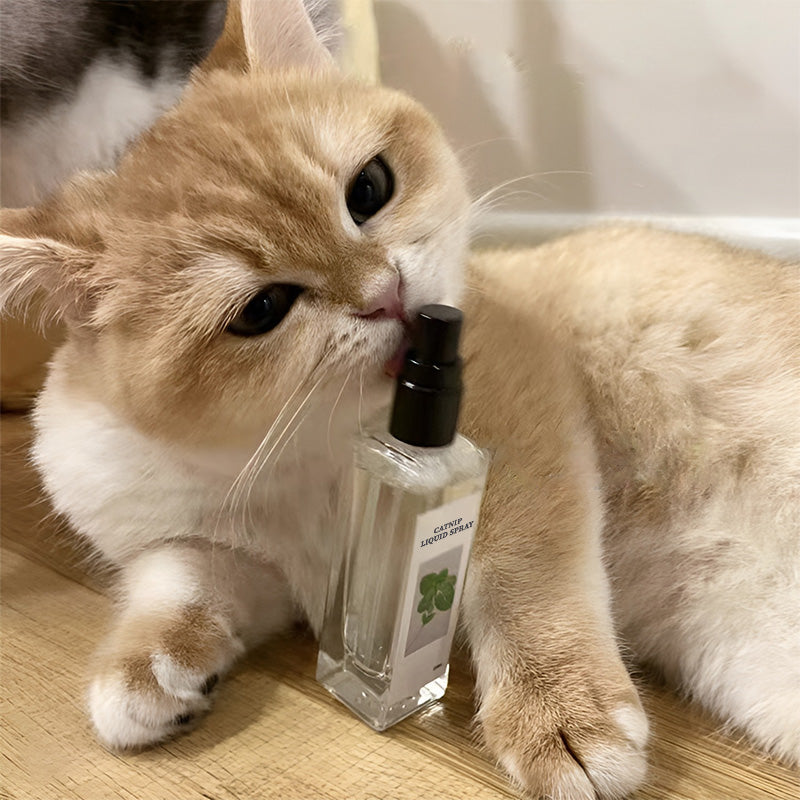 Hjemix | Kattemynte Liquid Spray - Sikker, Ren og Potent