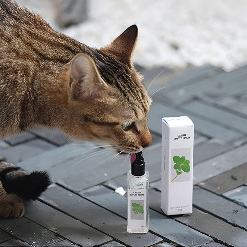 Hjemix | Kattemynte Liquid Spray - Sikker, Ren og Potent