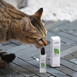 Hjemix | Kattemynte Liquid Spray - Sikker, Ren og Potent