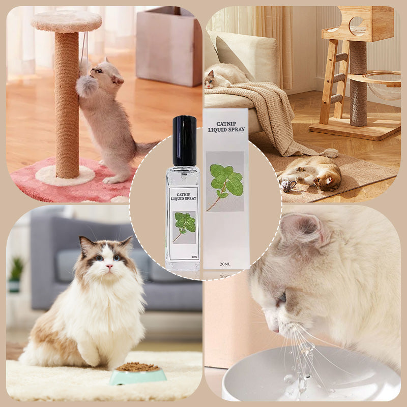 Hjemix | Kattemynte Liquid Spray - Sikker, Ren og Potent