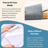 Hjemix | Klorematter For Katter - Beskytter Møbler