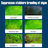 Hjemix | Fiskekar Vannrenser Algefjerner