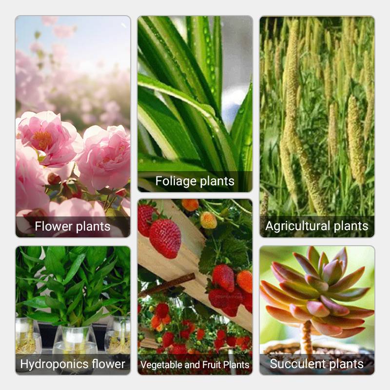 Hjemix | Raskt virkende næringsløsning for planter