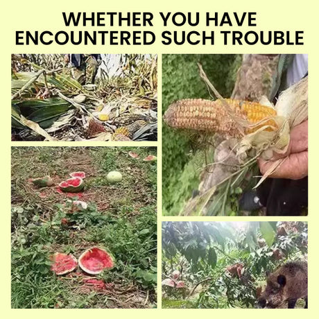 Hjemix | Solcelledrevet dyreavvisende varsellys med høy alarm