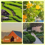 Hjemix | Solcelledrevet dyreavvisende varsellys med høy alarm