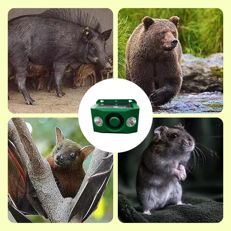 Hjemix | Solcelledrevet dyreavvisende varsellys med høy alarm