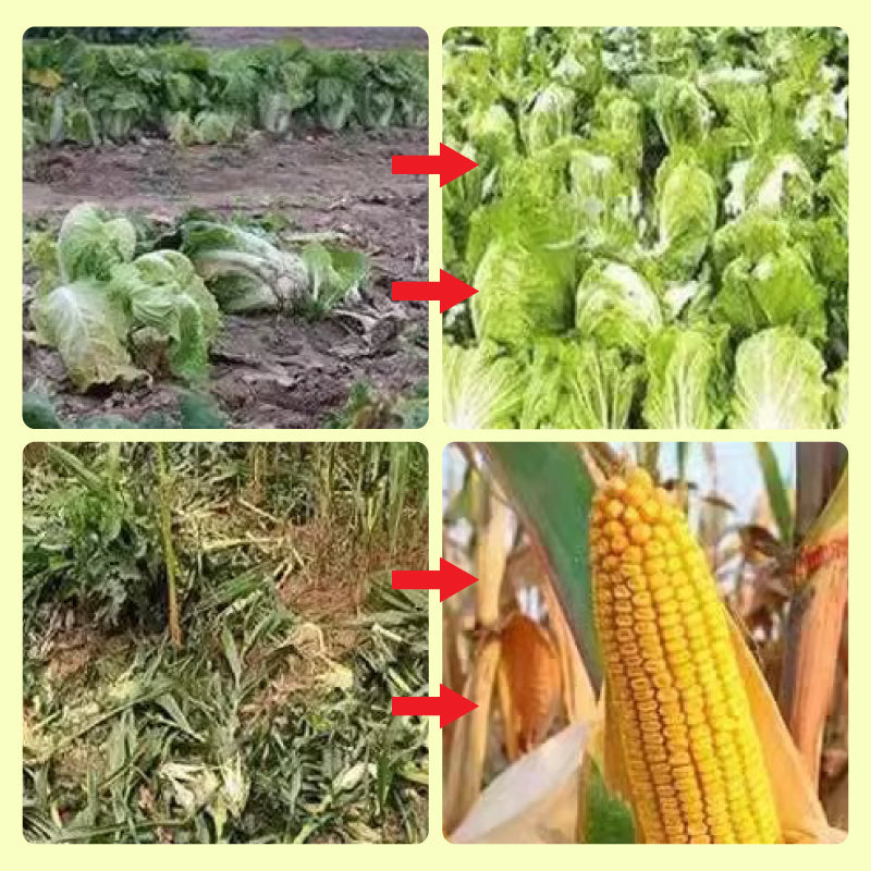 Hjemix | Solcelledrevet dyreavvisende varsellys med høy alarm