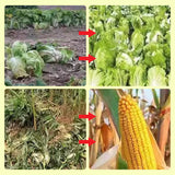 Hjemix | Solcelledrevet dyreavvisende varsellys med høy alarm