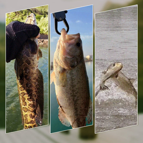 Hjemix | Realistisk 3D flytende fiskebait sett med 3 krokker