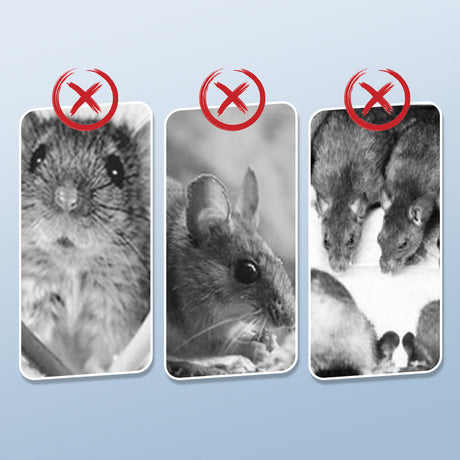 Hjemix | 🔥 Kraftig musefelle med høy sensitivitet