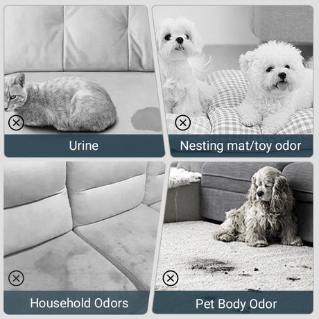 Hjemix | 🐱🐶Spray for fjerning av kjæledyrlukt🍃