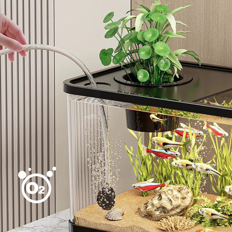 Hjemix | Lite hjemmeakvarium