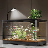 Hjemix | Lite hjemmeakvarium