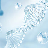 Hjemix | UV-toalettsteriliseringslampe-sett