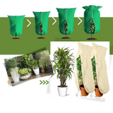 Plantefrysetrekk Med Overlegen Isolasjon